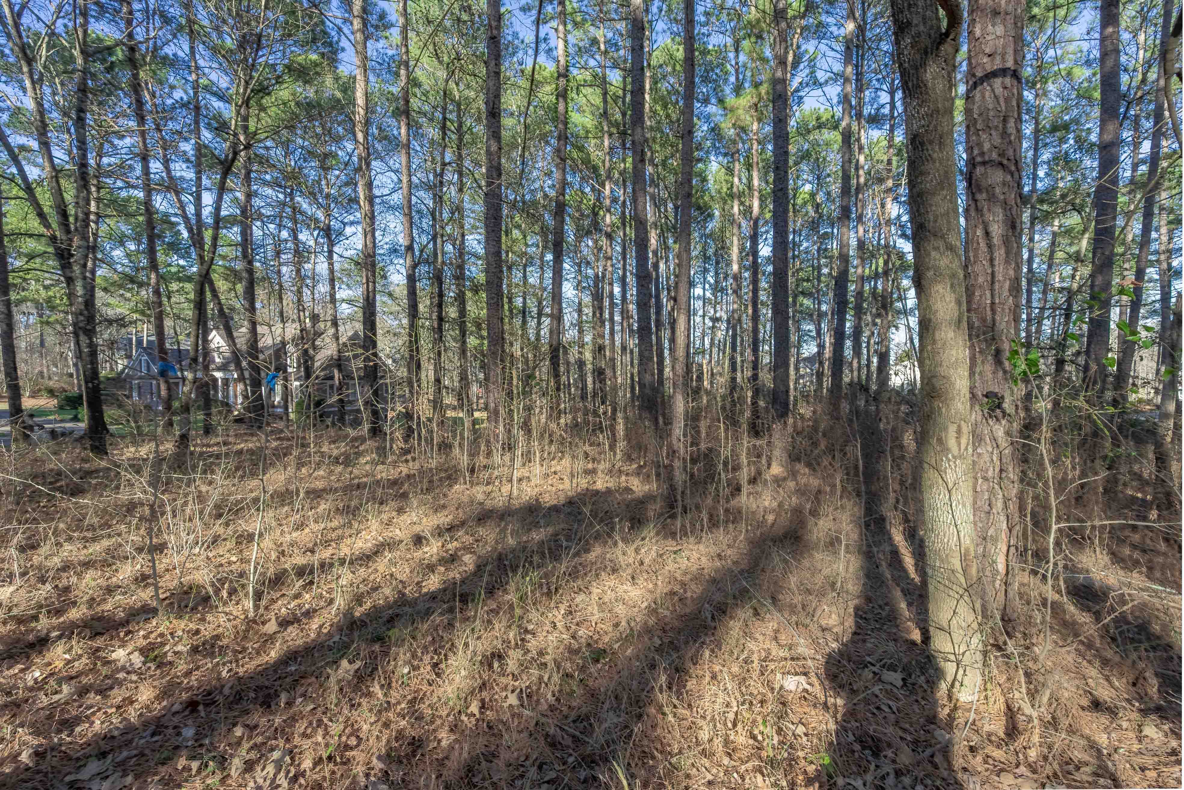 155 Barrington Hall Drive, NE image 6